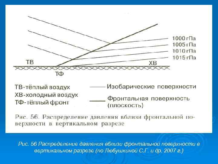 Рис. 56 Распределение давления вблизи фронтальной поверхности в вертикальном разрезе (по Любушкиной С. Г.