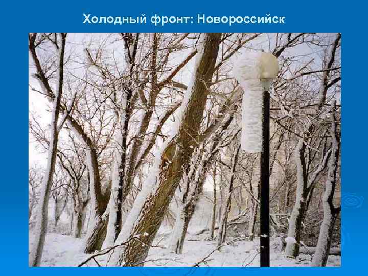 Холодный фронт: Новороссийск 