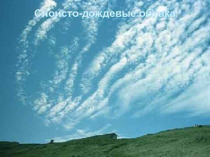 Слоисто-дождевые облака 