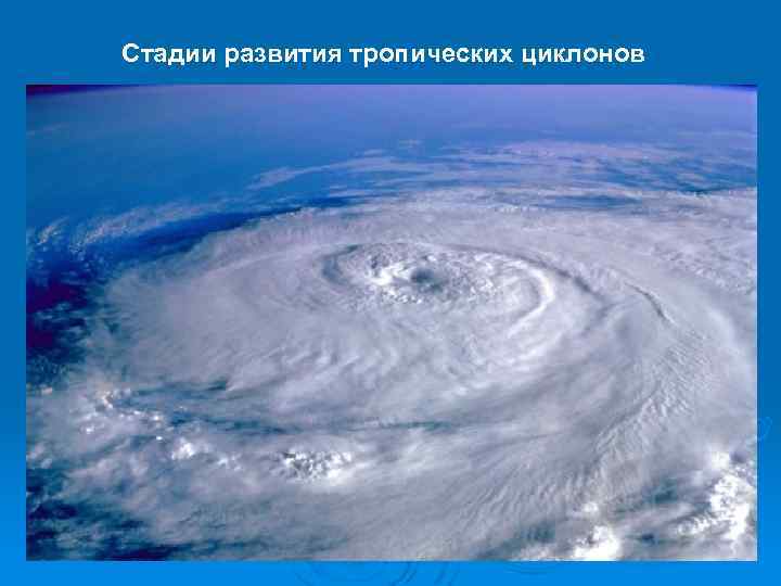 Стадии развития тропических циклонов 