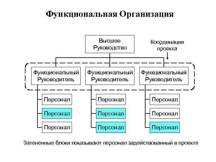 Функциональная структура проекта