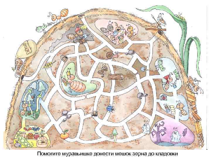 Помогите муравьишке донести мешок зерна до кладовки 