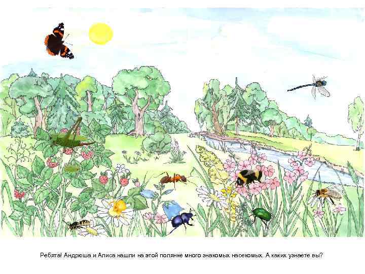 Ребята! Андрюша и Алиса нашли на этой полянке много знакомых насекомых. А каких узнаете