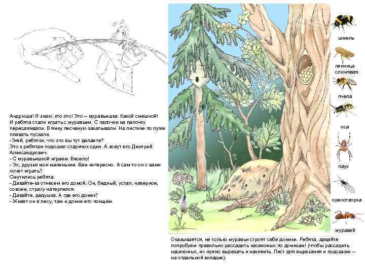 шмель пенница слюнявая пчела Андрюша! Я знаю, кто это! Это – муравьишка. Какой смешной!