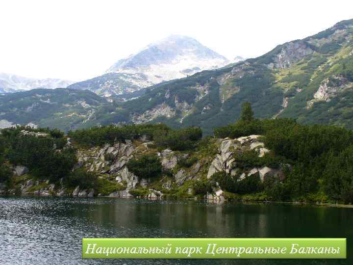 Национальный парк Центральные Балканы 