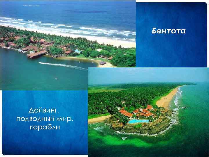 Бентота Дайвинг, подводный мир, корабли 