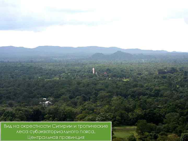 Вид на окрестности Сигирии и тропические леса субэкваториального пояса. Центральная провинция 