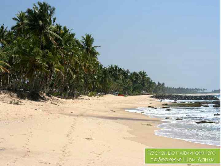 Песчаные пляжи южного побережья Шри Ланки 