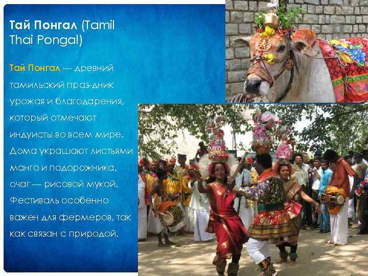 Тай Понгал (Tamil Thai Pongal) Тай Понгал — древний тамильский праз дник урожая и