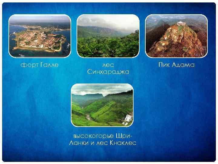 форт Галле лес Синхараджа высокогорье Шри Ланки и лес Кнаклес Пик Адама 