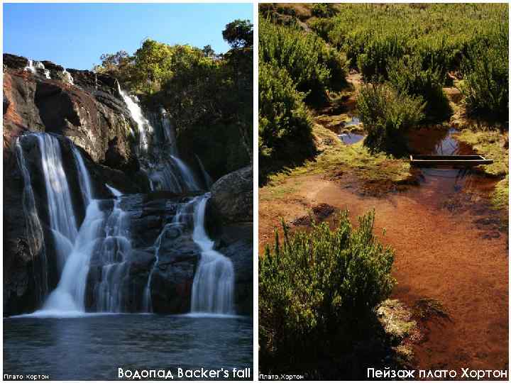 Водопад Backer's fall Пейзаж плато Хортон 