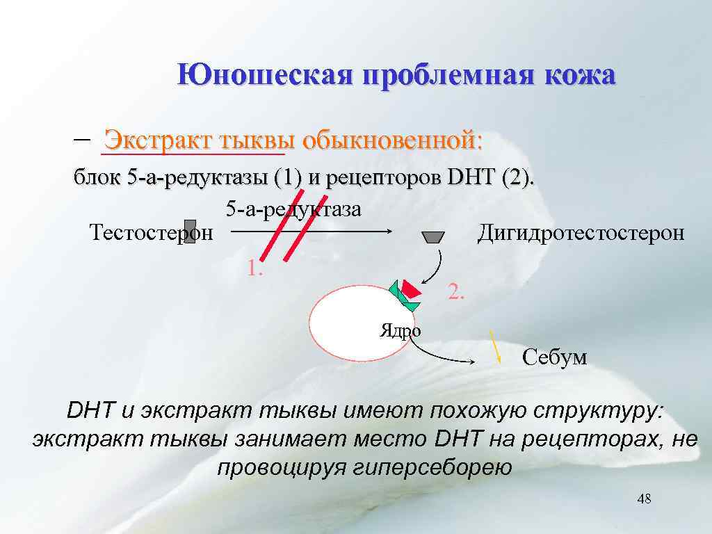Юношеская проблемная кожа – Экстракт тыквы обыкновенной: блок 5 -а-редуктазы (1) и рецепторов DHT