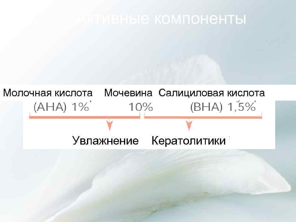 Активные компоненты Молочная кислота Мочевина Салициловая кислота Увлажнение Кератолитики 