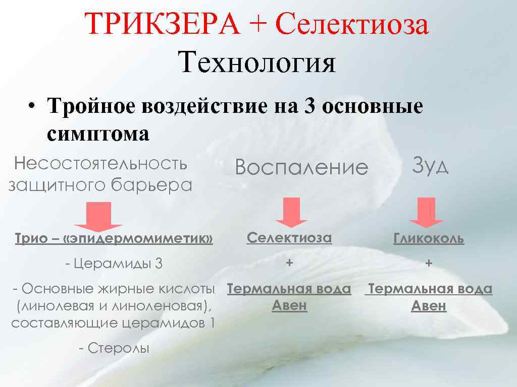 ТРИКЗЕРА + Селектиоза Технология • Тройное воздействие на 3 основные симптома Несостоятельность защитного барьера