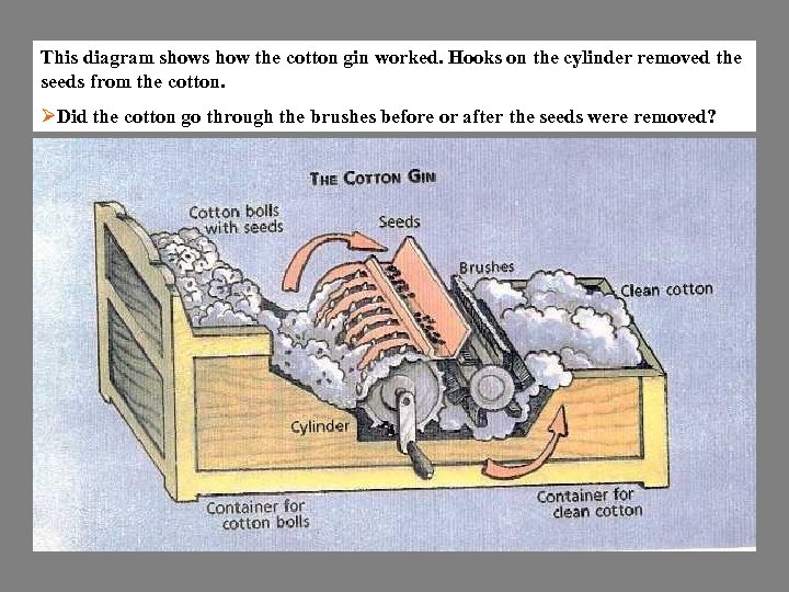 This diagram shows how the cotton gin worked. Hooks on the cylinder removed the