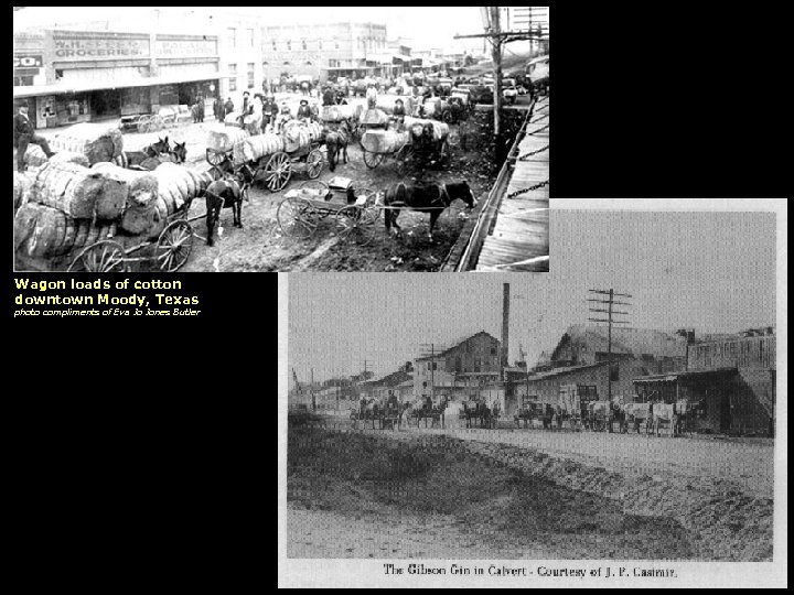 Wagon loads of cotton downtown Moody, Texas photo compliments of Eva Jo Jones Butler