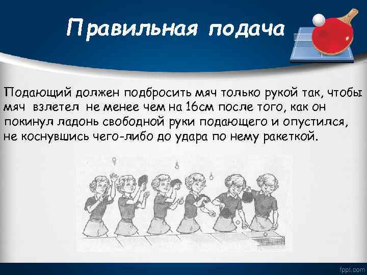 Правильная подача Подающий должен подбросить мяч только рукой так, чтобы мяч взлетел не менее