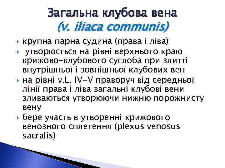 Загальна клубова вена (v. iliaca communis) крупна парна судина (права і ліва) утворюється на