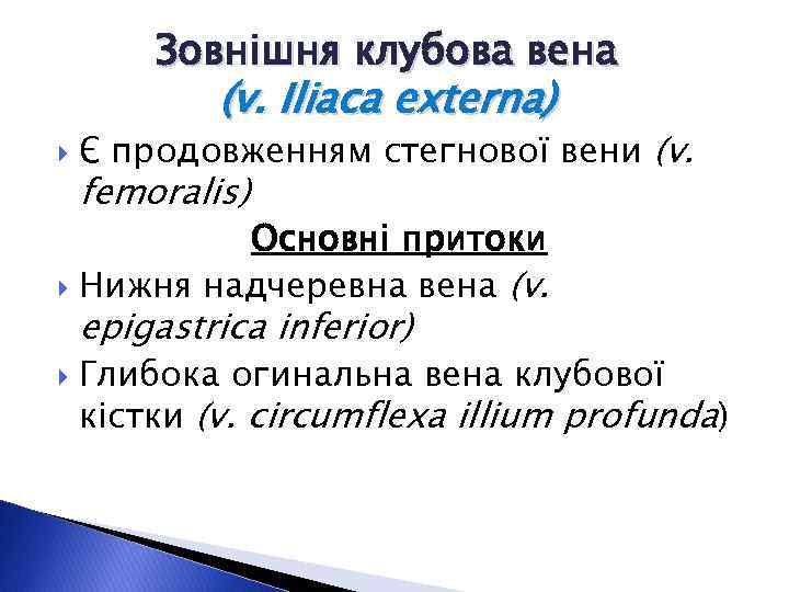 Зовнішня клубова вена (v. Iliaca externa) Є продовженням стегнової вени (v. femoralis) Основні притоки