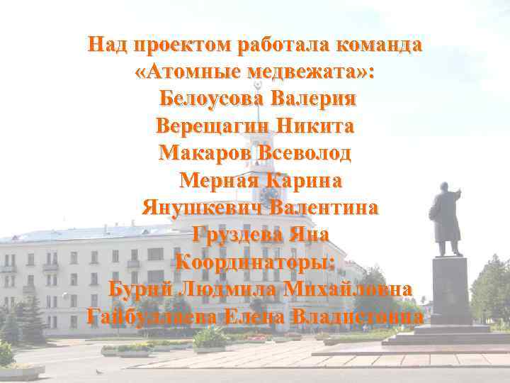Над проектом работала команда «Атомные медвежата» : Белоусова Валерия Верещагин Никита Макаров Всеволод Мерная