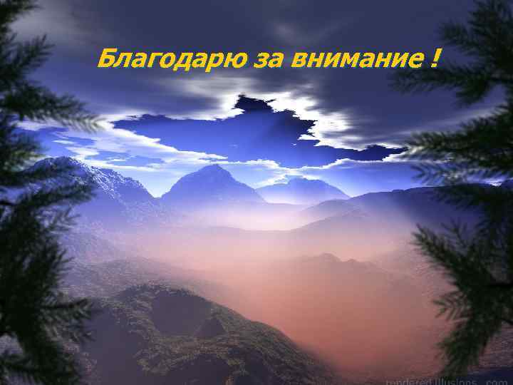 Благодарю за внимание ! 