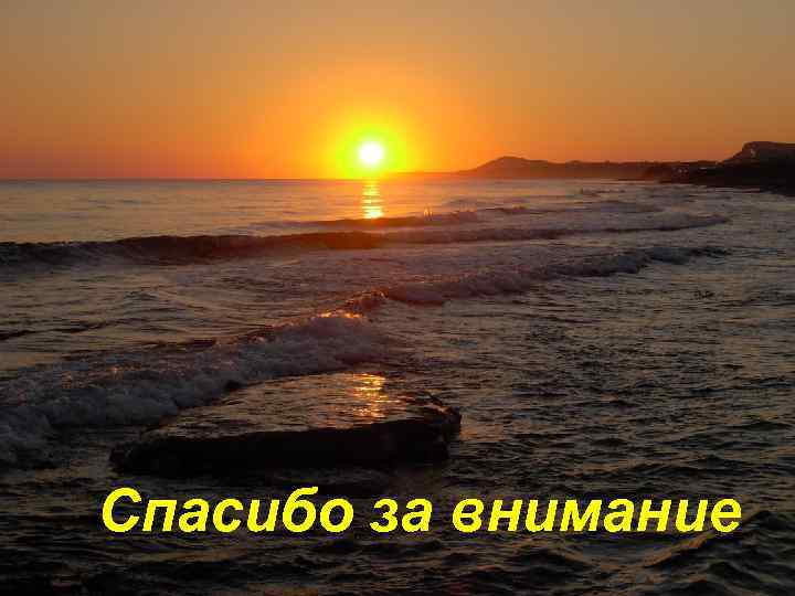 Спасибо за внимание! Спасибо за внимание 