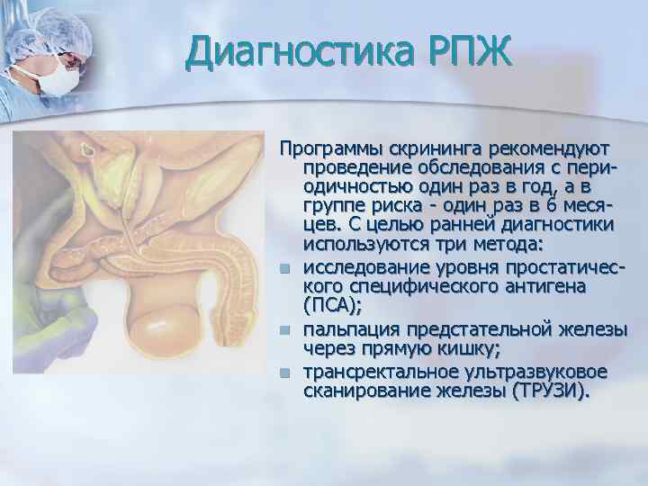 Диагностика РПЖ Программы скрининга рекомендуют проведение обследования с периодичностью один раз в год, а