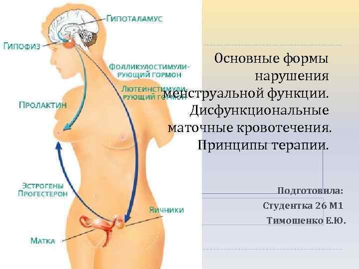 Основные формы нарушения менструальной функции. Дисфункциональные маточные кровотечения. Принципы терапии. Подготовила: Студентка 26 М