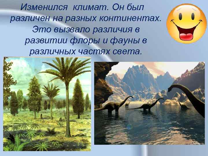 Изменился климат. Он был различен на разных континентах. Это вызвало различия в развитии флоры