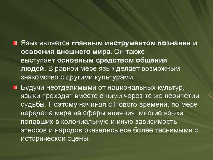 Язык является главным инструментом познания и освоения внешнего мира. Он также выступает основным средством