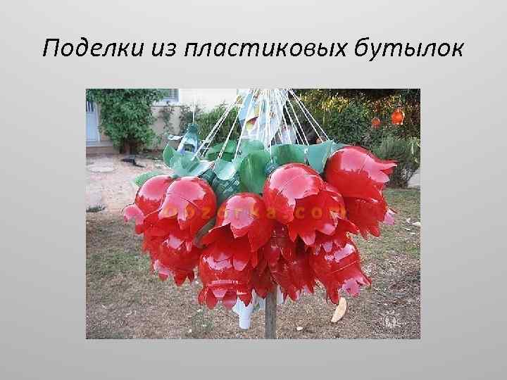 Поделки из пластиковых бутылок 