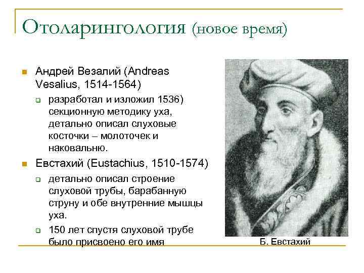 Отоларингология (новое время) n Андрей Везалий (Andreas Vesalius, 1514 -1564) q n разработал и