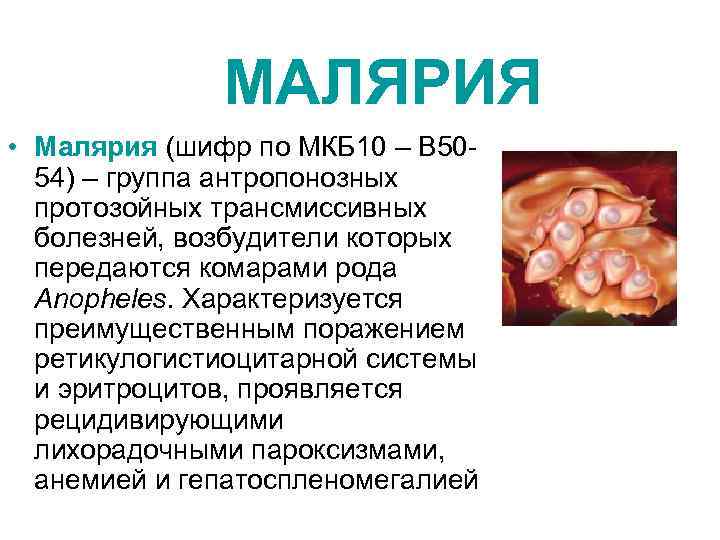 МАЛЯРИЯ • Малярия (шифр по МКБ 10 – B 5054) – группа антропонозных протозойных