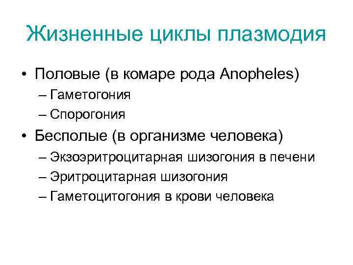 Жизненные циклы плазмодия • Половые (в комаре рода Anopheles) – Гаметогония – Спорогония •