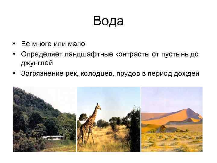 Вода • Ее много или мало • Определяет ландшафтные контрасты от пустынь до джунглей