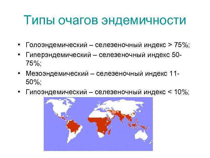 Типы очагов эндемичности • Голоэндемический – селезеночный индекс > 75%; • Гиперэндемический – селезеночный