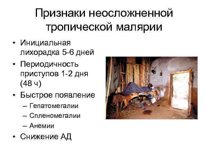 Признаки неосложненной тропической малярии • Инициальная лихорадка 5 -6 дней • Периодичность приступов 1
