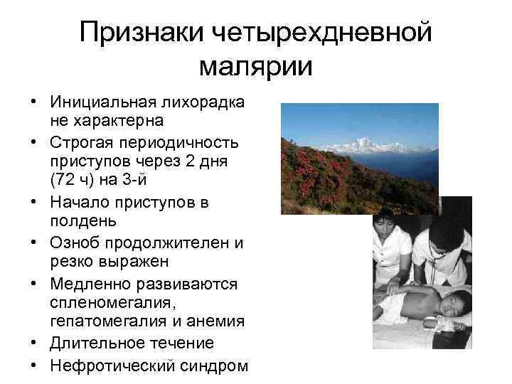 Признаки четырехдневной малярии • Инициальная лихорадка не характерна • Строгая периодичность приступов через 2