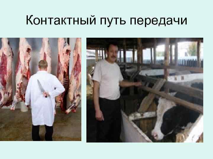 Контактный путь передачи 