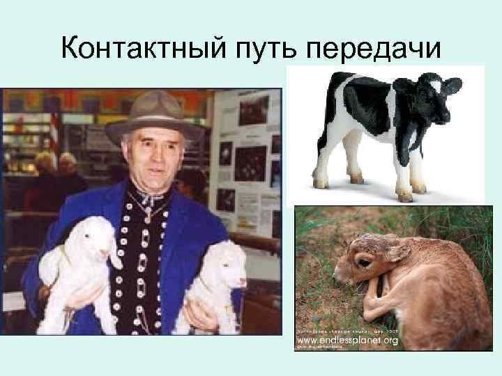 Контактный путь передачи 