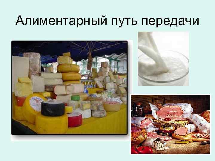 Алиментарный путь