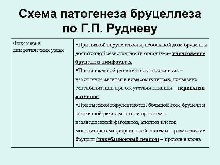 Схема патогенеза бруцеллеза по Г. П. Рудневу Фиксация в лимфатических узлах При низкой вирулентности,