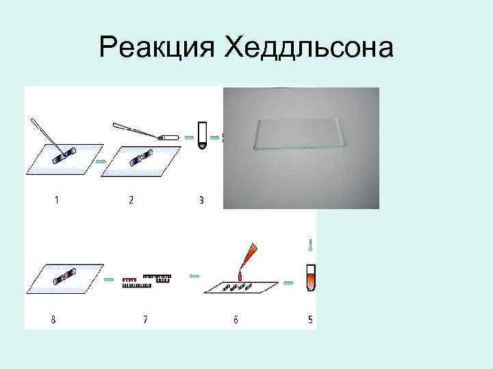 Реакция Хеддльсона 