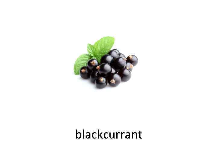 blackcurrant 