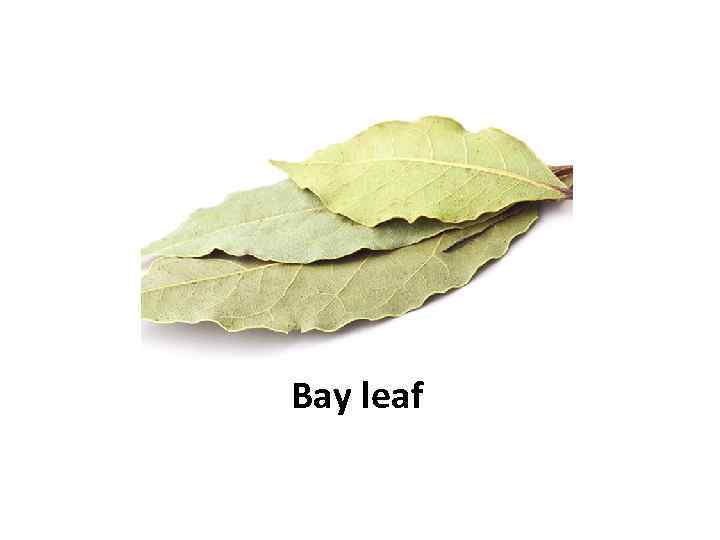 Bay leaf 