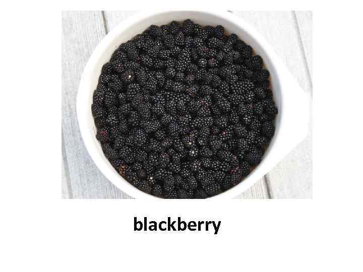 blackberry 