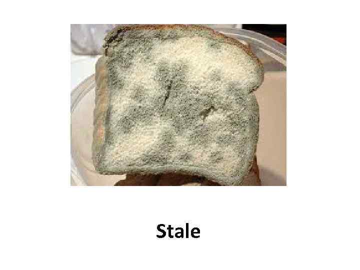 Stale 
