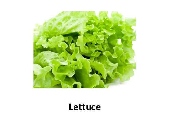Lettuce 