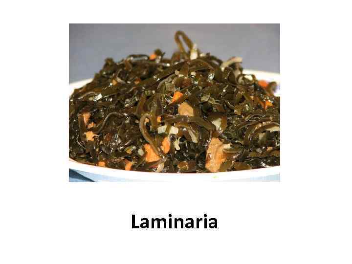 Laminaria 