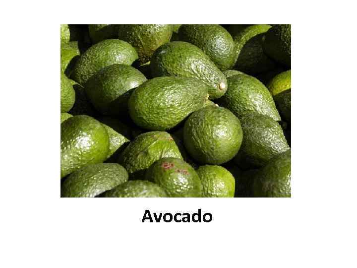 Avocado 